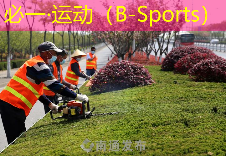 网球拍型号汇总图表格