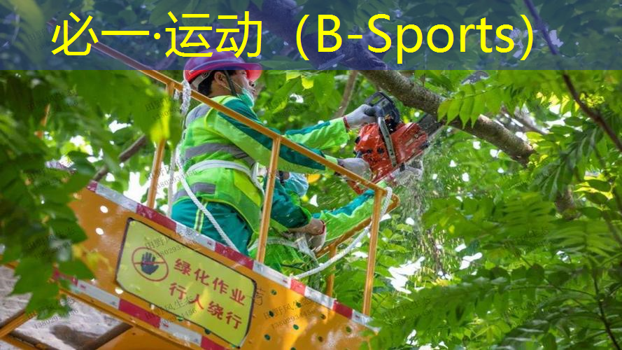 网球拍手胶干湿区别图
