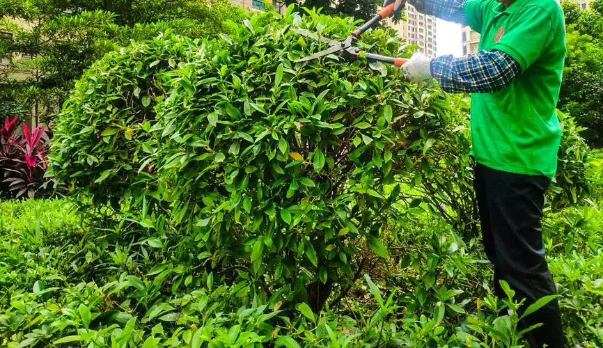 网球拍未发售怎么办啊